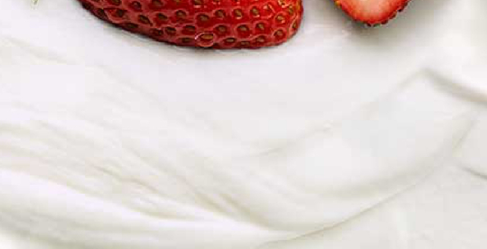 Oikos Blended bg